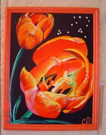 Les Tulipes